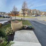 119 McPherson Rd, Caledon