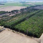 7297 Wellington Rd 10, Moorefield