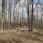 7297 Wellington Rd 10, Moorefield