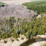 7297 Wellington Rd 10, Moorefield