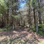 9614 O’Dwyers Rd, Mt. Forest