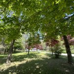 9614 O’Dwyers Rd, Mt. Forest