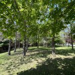 9614 O’Dwyers Rd, Mt. Forest