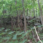 Excellent Building Lot – Moonstone