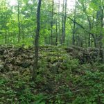 Excellent Building Lot – Moonstone