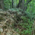 Excellent Building Lot – Moonstone