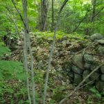 Excellent Building Lot – Moonstone