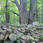 Excellent Building Lot – Moonstone