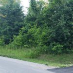 Excellent Building Lot – Moonstone