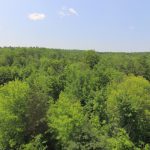 Excellent Building Lot – Moonstone
