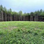 Great location to build your dream home