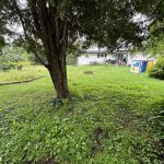 Great potential in this solid home!