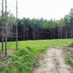 Great location to build your dream home