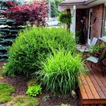 Lots of great living space on an absolutely beautiful private fenced lot in an excellent location!