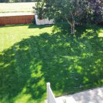 Immaculate & spacious family home for the growing family!