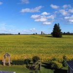 Absolutely a very beautiful & peaceful home backing onto open farm land