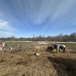 Hobby farm on paved road with much to offer you!