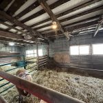Hobby farm on paved road with much to offer you!
