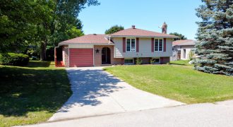 Great family home in quiet neighbourhood