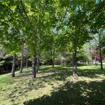 A very beautiful 7.8 acre parcel with so much to offer you & your family!