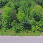 Dream building lot with lots of mature trees for privacy