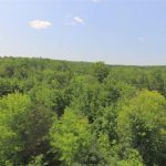 Dream building lot with lots of mature trees for privacy
