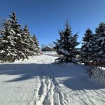 STUNNING TURN-KEY SEMI BACKING ONTO GREEN SPACE!