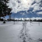 Affordable living on LEASED LAND