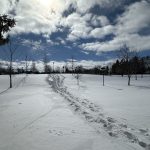 Affordable living on LEASED LAND