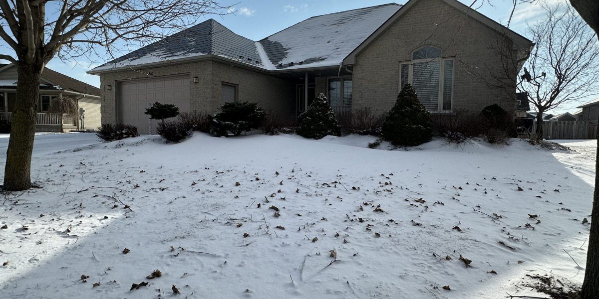 Spacious family home in immaculate condition with much to offer!