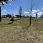 Affordable living on LEASED LAND