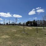 Affordable living on LEASED LAND