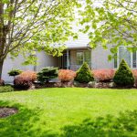 Spacious family home in immaculate condition with much to offer!