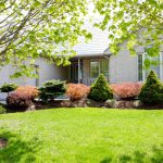 Spacious family home in immaculate condition with much to offer!
