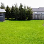 Spacious family home in immaculate condition with much to offer!