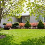 Spacious family home in immaculate condition with much to offer!