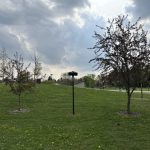 Affordable living on LEASED LAND