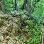 DREAM BUILDING LOT WITH MATURE TREES FOR ULTIMATE PRIVACY