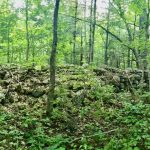 DREAM BUILDING LOT WITH MATURE TREES FOR ULTIMATE PRIVACY